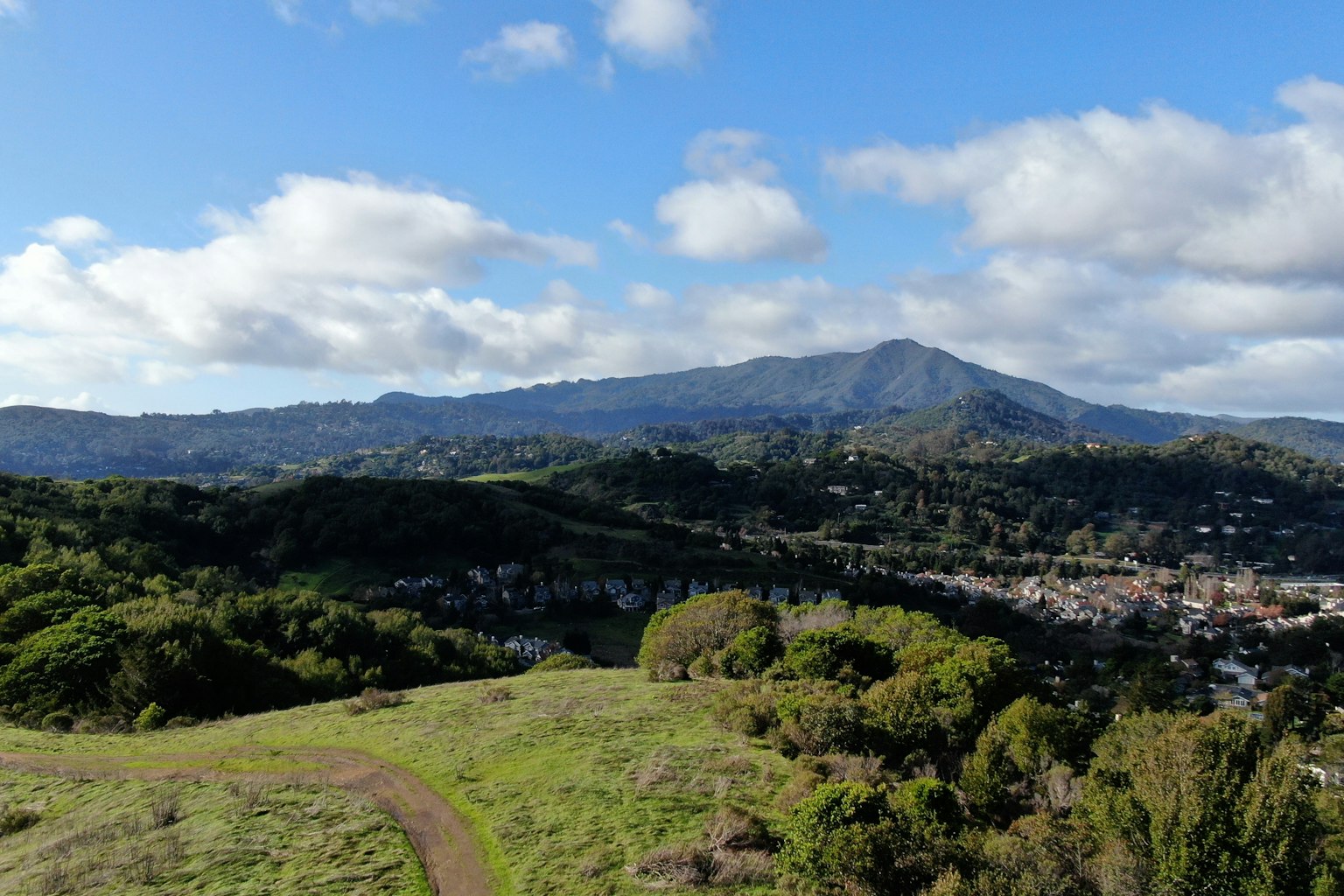 Marin County skyline